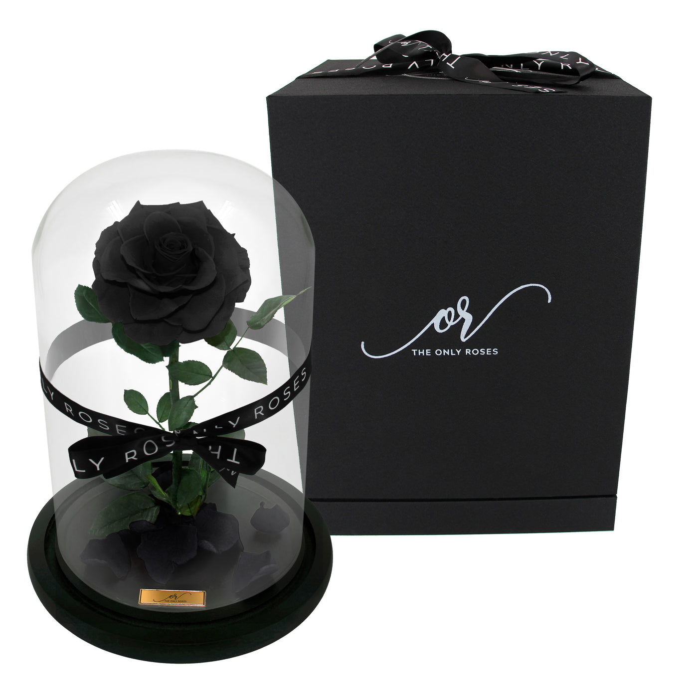 Medium Forever Rose Dome - Black