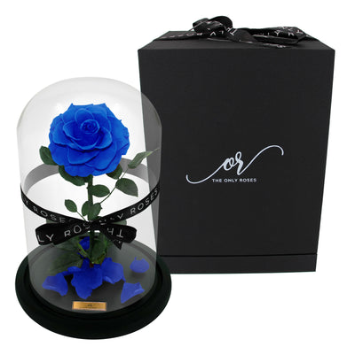 Medium Forever Rose Dome - Royal Blue