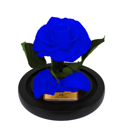 Mini Forever Rose Dome - Royal Blue