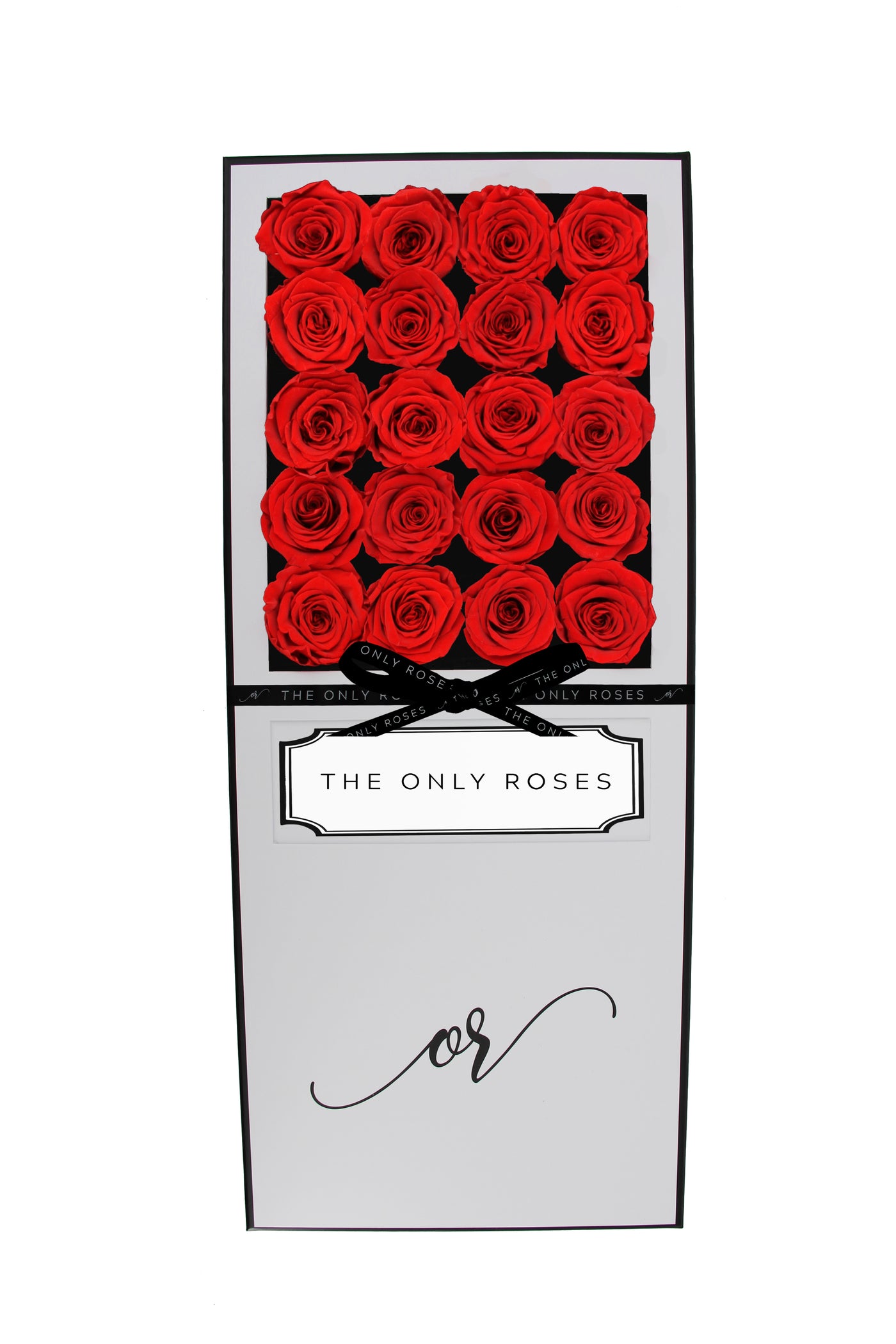 Signature Luxury Forever Rose White Box - Red