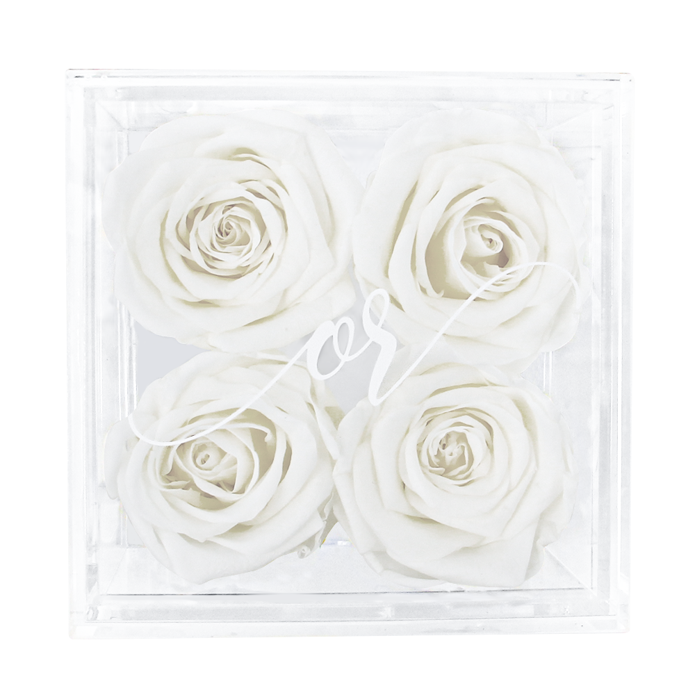 Petite Acrylic Forever Rose Box - White