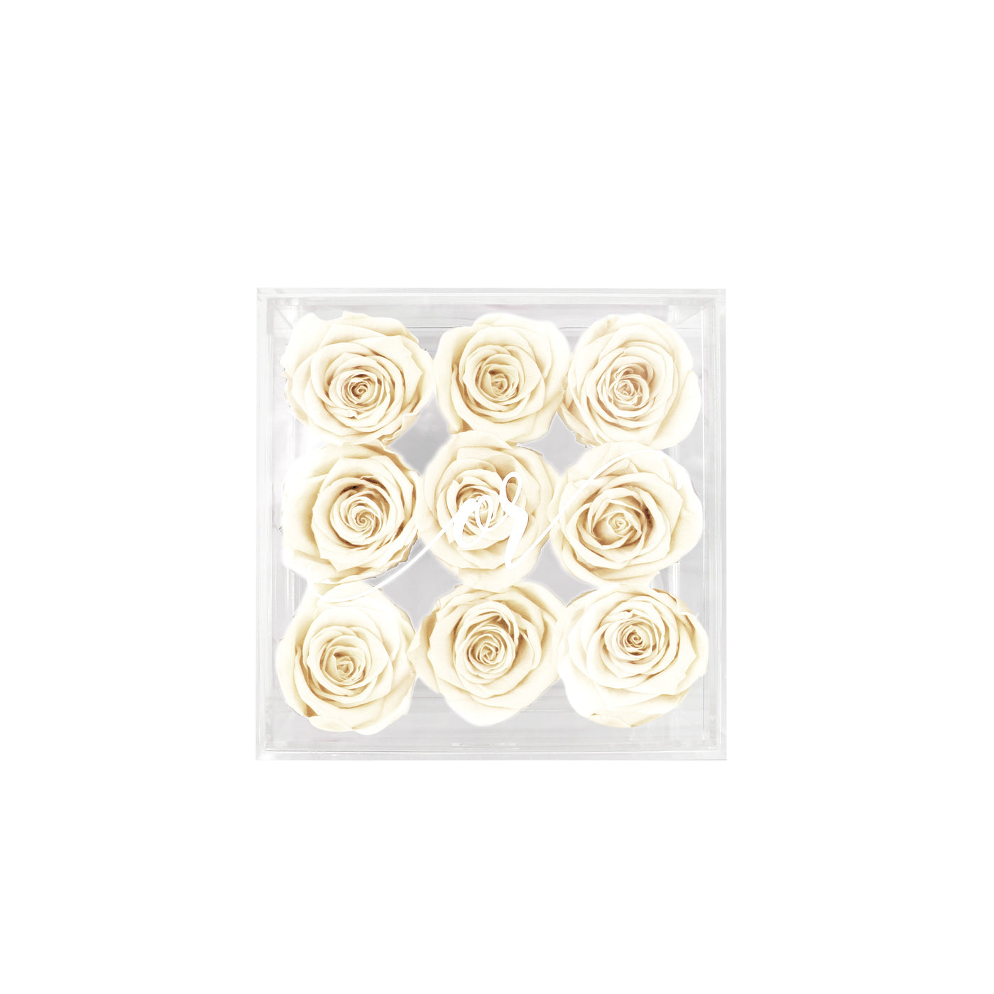 Medium Acrylic Forever Rose Box - White