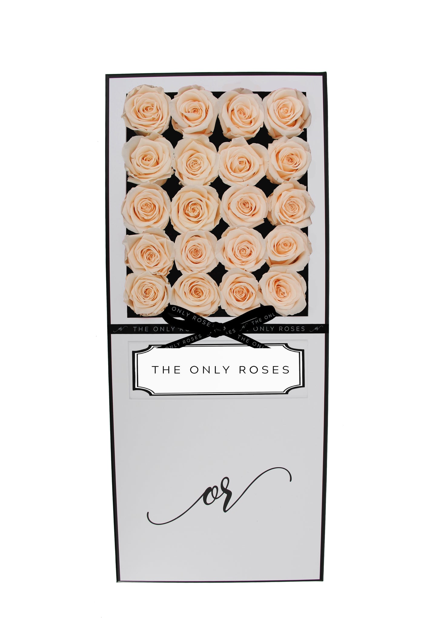 Signature Luxury Forever Rose White Box - Champagne