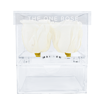 Petite Acrylic Forever Rose Box - White